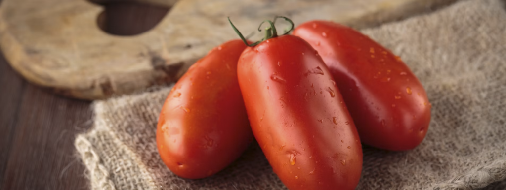 San Marzano Domates