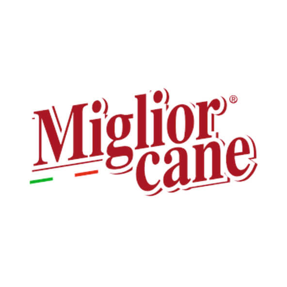 miglior cane